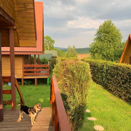 Czarny Kot Chalets Solina Kültér fotó