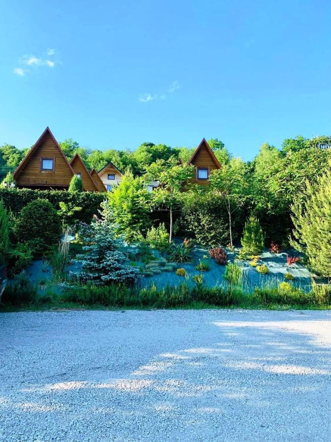 Czarny Kot Chalets Solina Kültér fotó