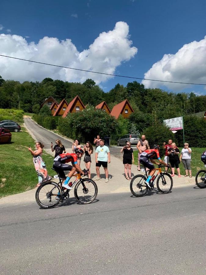 Czarny Kot Chalets Solina Kültér fotó