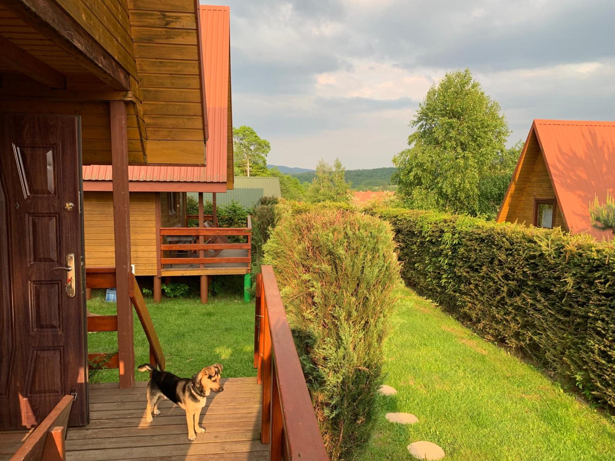 Czarny Kot Chalets Solina Kültér fotó