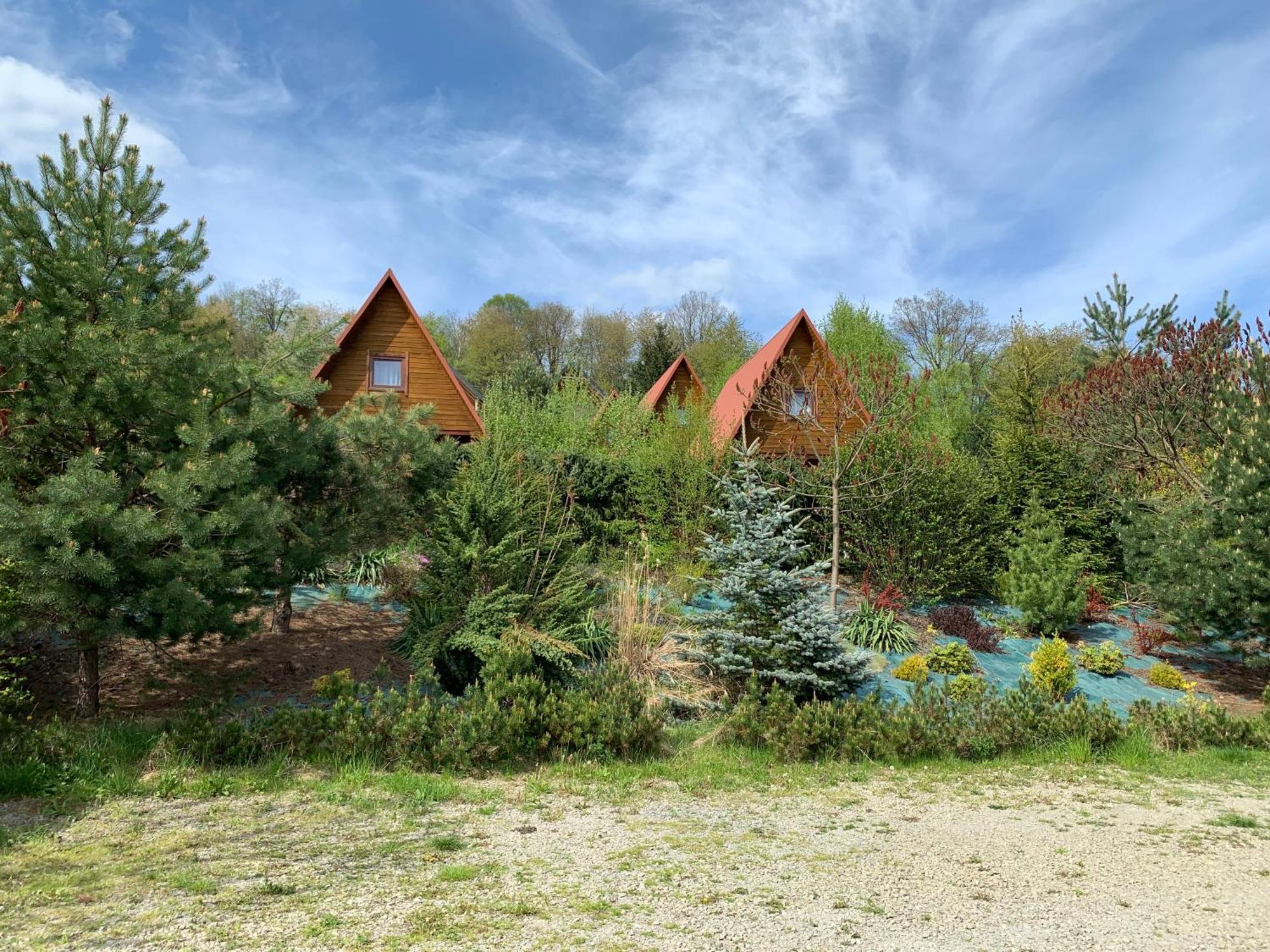 Czarny Kot Chalets Solina Kültér fotó